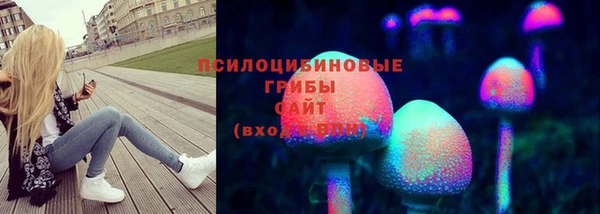дурь Алексин