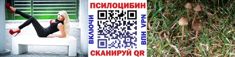 дарк нет формула Новосиль Псилоцибиновые грибы GOLDEN TEACHER